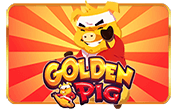 Golden-Pig