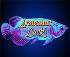 arowanas-luck