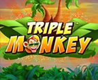 triple-monkey
